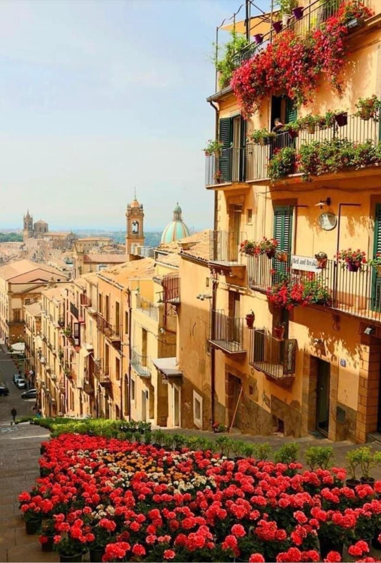 Casa Tipica Siciliana Patronale Home Bedandbreakfast Tremetrisoprailcielo Camere Con Vista, Colazione Interna In Terrazzo Panoramico Кальтаджироне Экстерьер фото