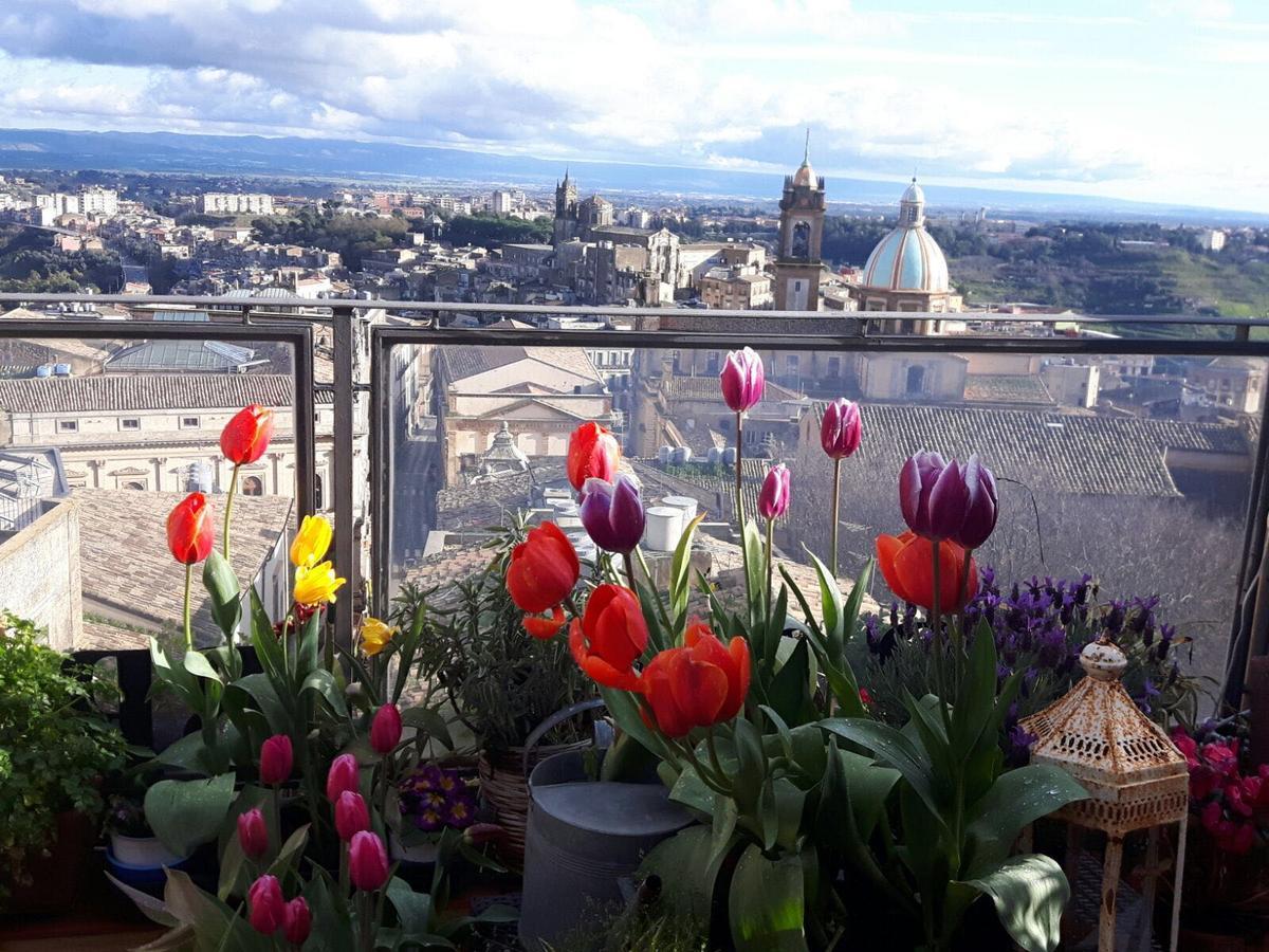 Casa Tipica Siciliana Patronale Home Bedandbreakfast Tremetrisoprailcielo Camere Con Vista, Colazione Interna In Terrazzo Panoramico Кальтаджироне Экстерьер фото