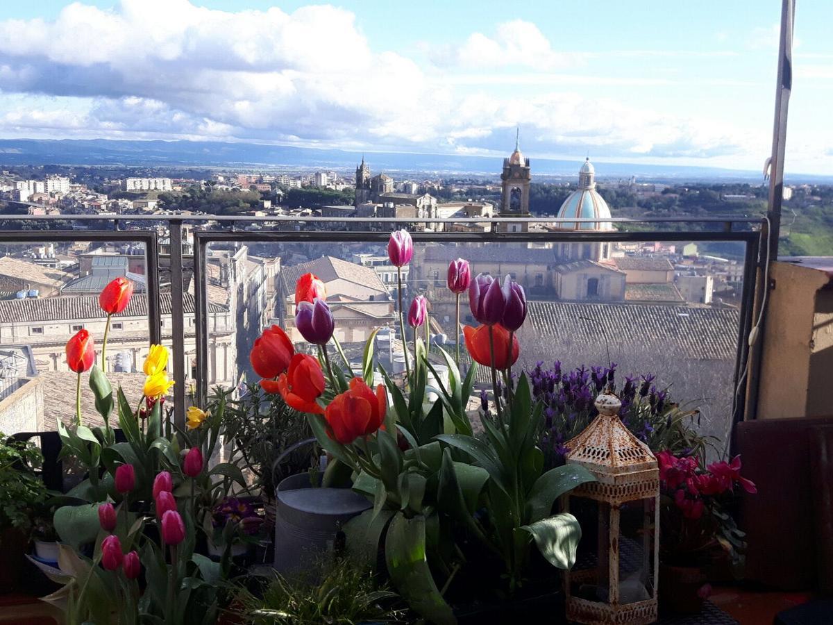 Casa Tipica Siciliana Patronale Home Bedandbreakfast Tremetrisoprailcielo Camere Con Vista, Colazione Interna In Terrazzo Panoramico Кальтаджироне Экстерьер фото
