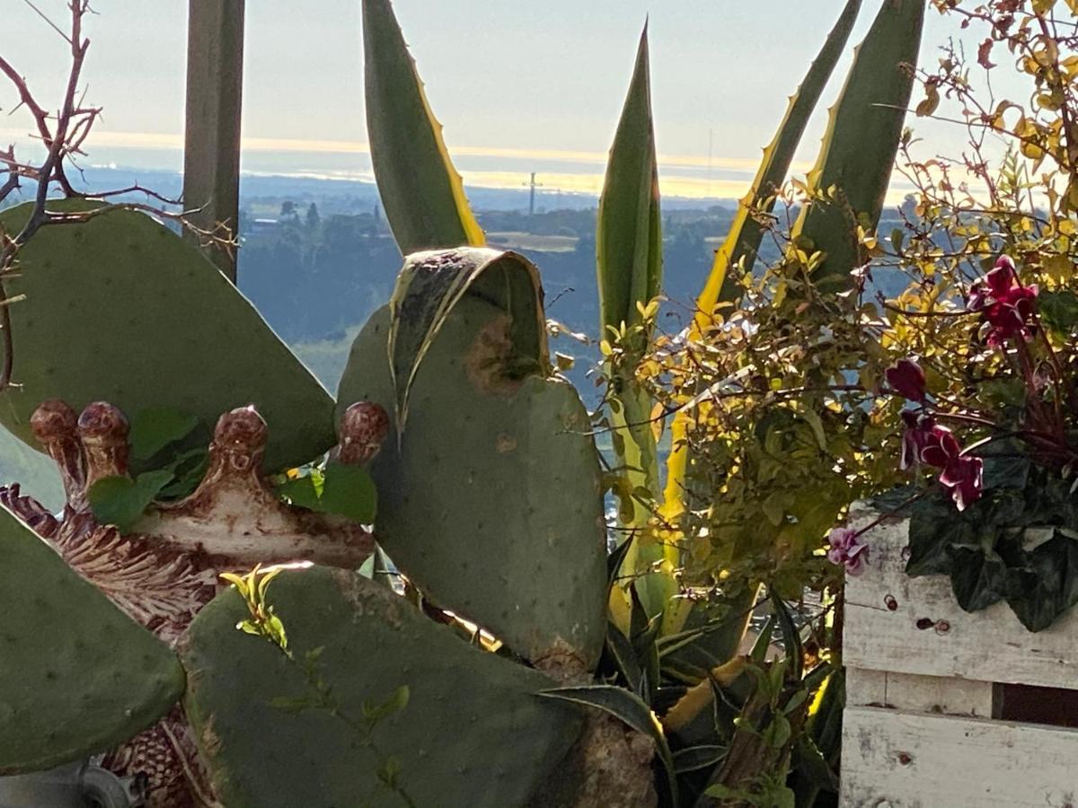 Casa Tipica Siciliana Patronale Home Bedandbreakfast Tremetrisoprailcielo Camere Con Vista, Colazione Interna In Terrazzo Panoramico Кальтаджироне Экстерьер фото